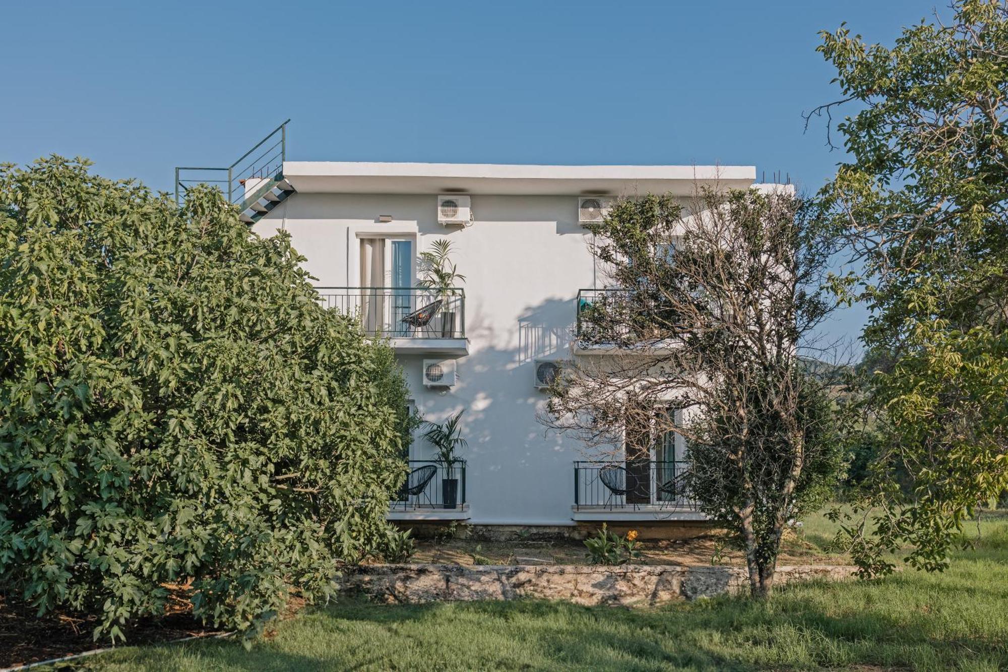 Olive Grove Suites Boutique Hotel Moraítika Kültér fotó